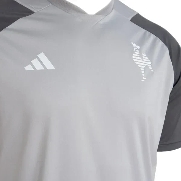 Camisa Atlético Mineiro Treino 2024/25 Adidas Masculina
