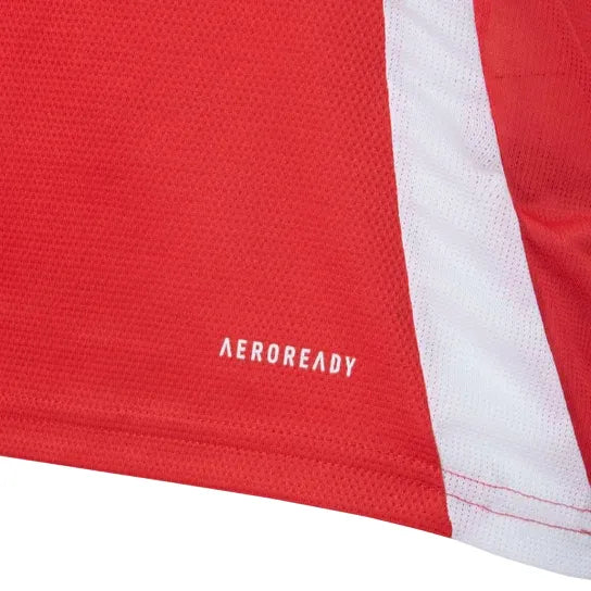 Camisa Internacional I 2025/26 Adidas Torcedor Masculina