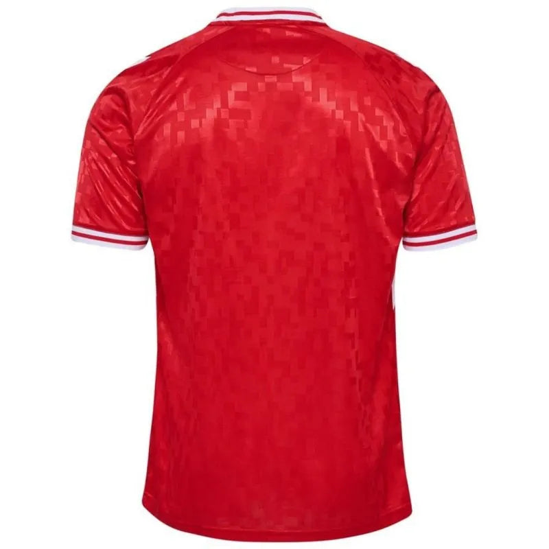 Camisa Dinamarca Home - 2024