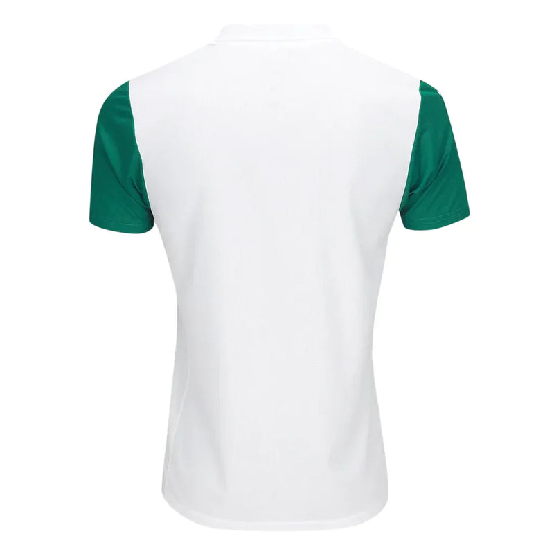 Camisa Palmeiras II 2025/26 Puma Torcedor Masculina
