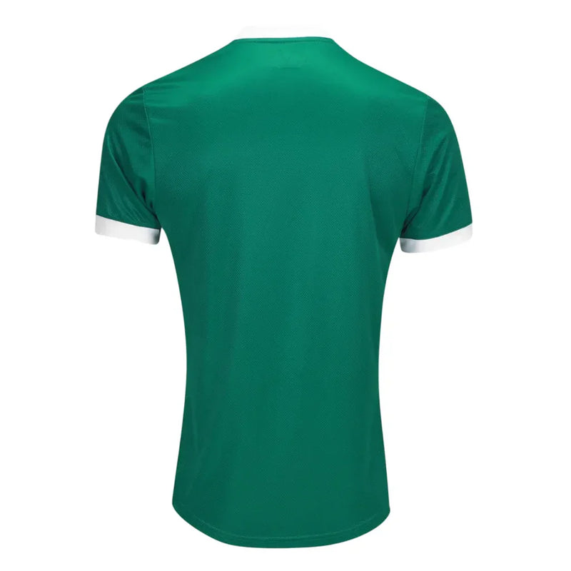Camisa Palmeiras I 2025/26 Puma Jogador Masculina