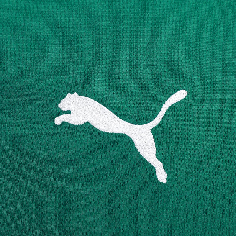 Camisa Palmeiras I 2025/26 Puma Torcedor Masculina