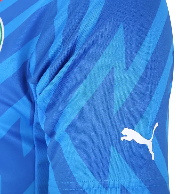 Camisa Palmeiras Goleiro I 2024/25 Puma Masculina Azul