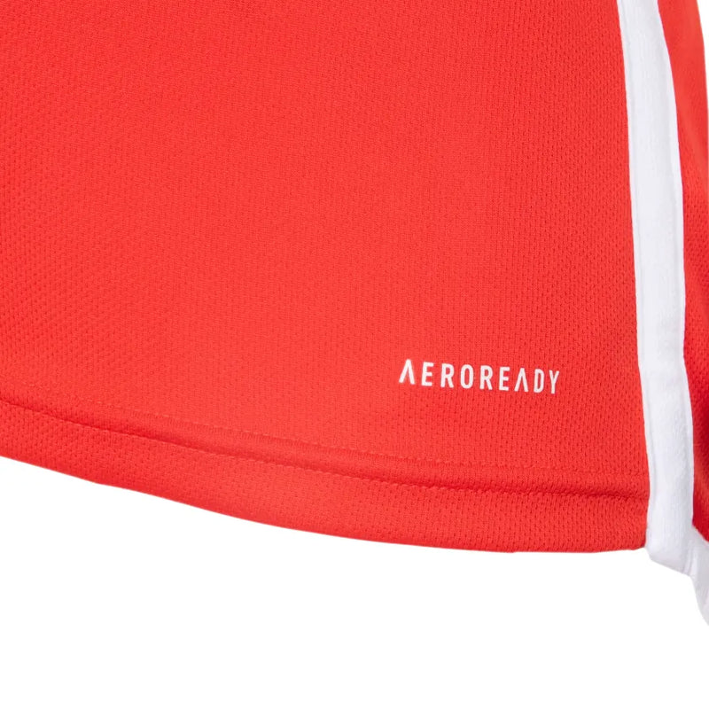 Camisa Internacional I 2024/25 Adidas Torcedor Masculina
